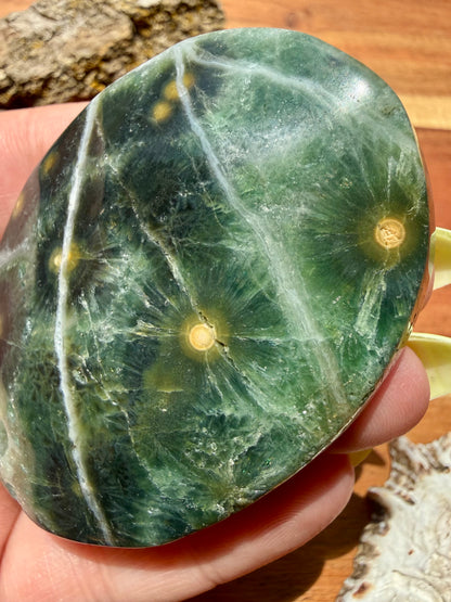 OLD STOCK OCEAN JASPER PALM STONE