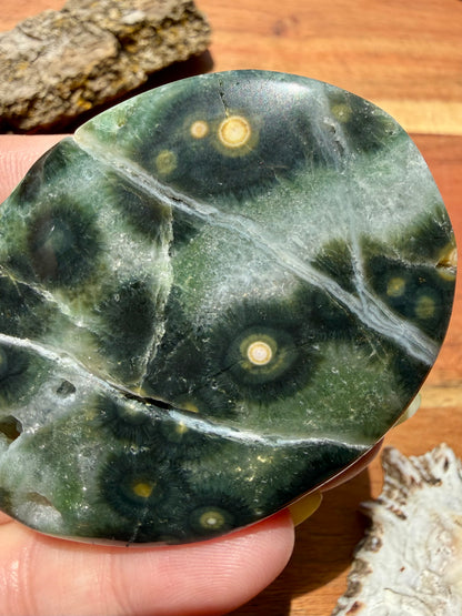 OLD STOCK OCEAN JASPER PALM STONE