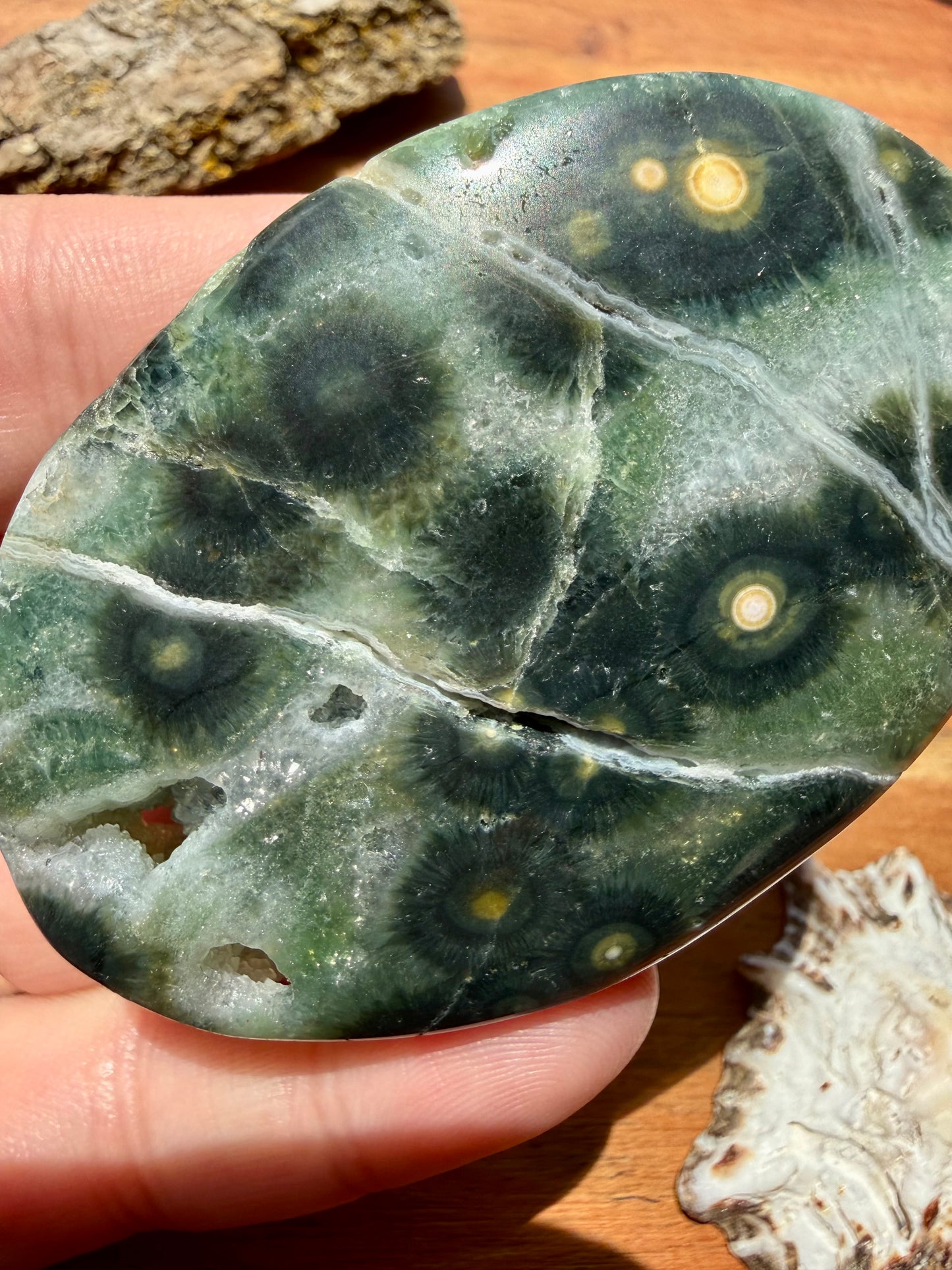 OLD STOCK OCEAN JASPER PALM STONE