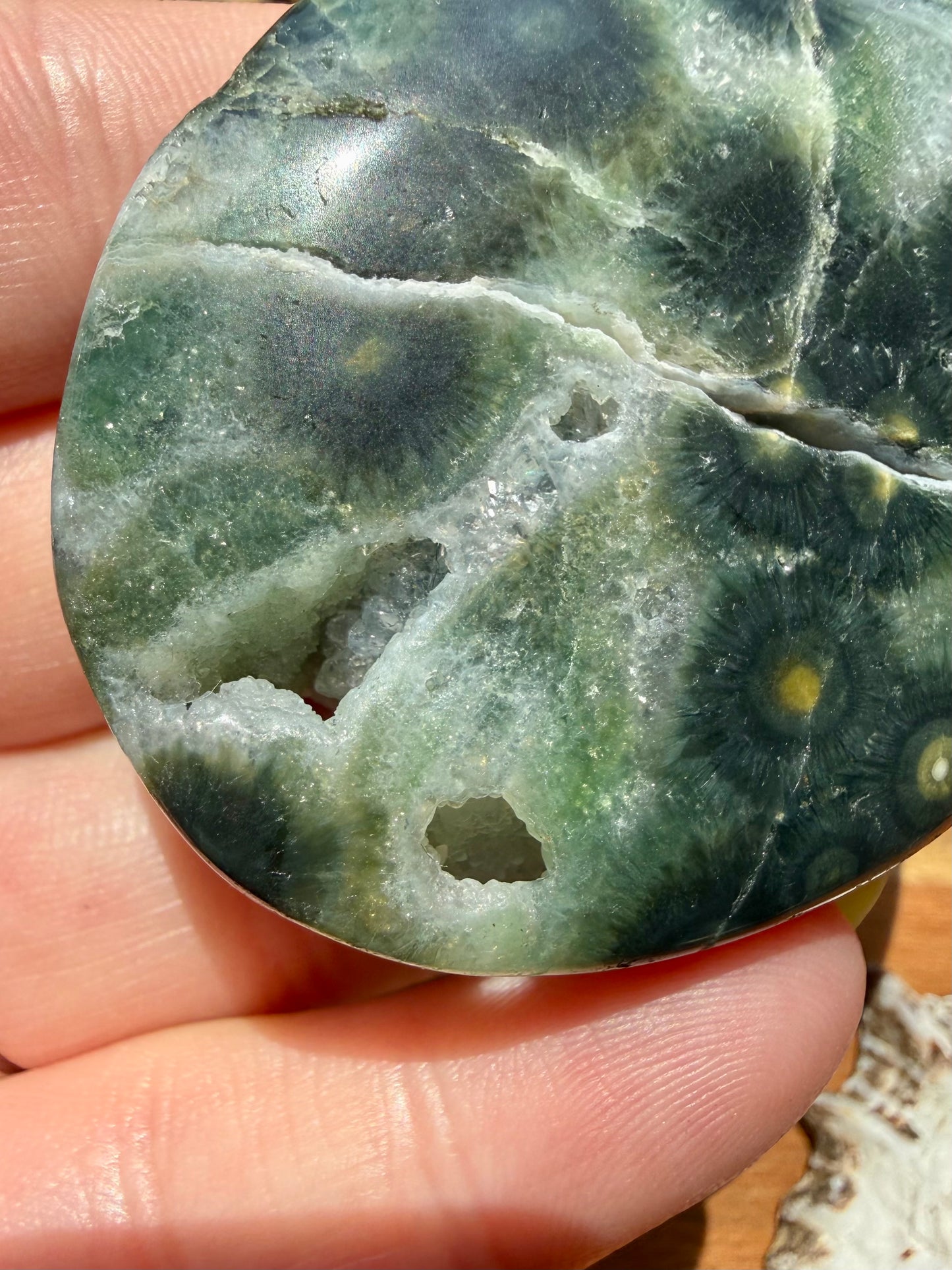OLD STOCK OCEAN JASPER PALM STONE