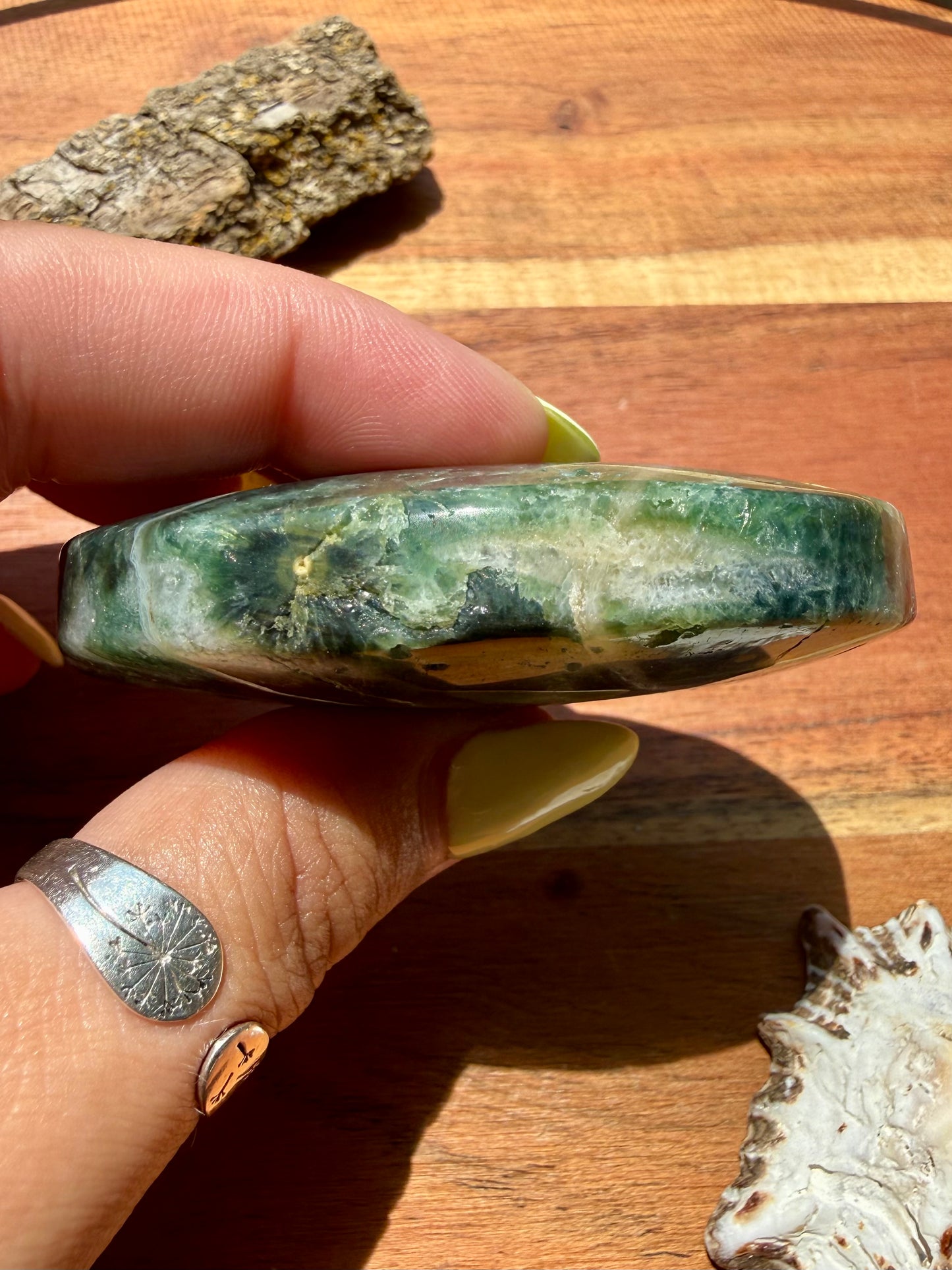 OLD STOCK OCEAN JASPER PALM STONE