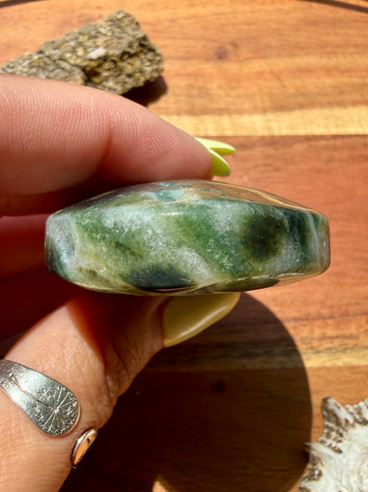 OLD STOCK OCEAN JASPER PALM STONE