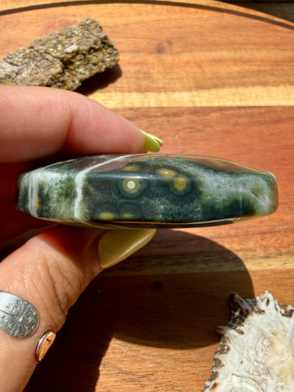 OLD STOCK OCEAN JASPER PALM STONE