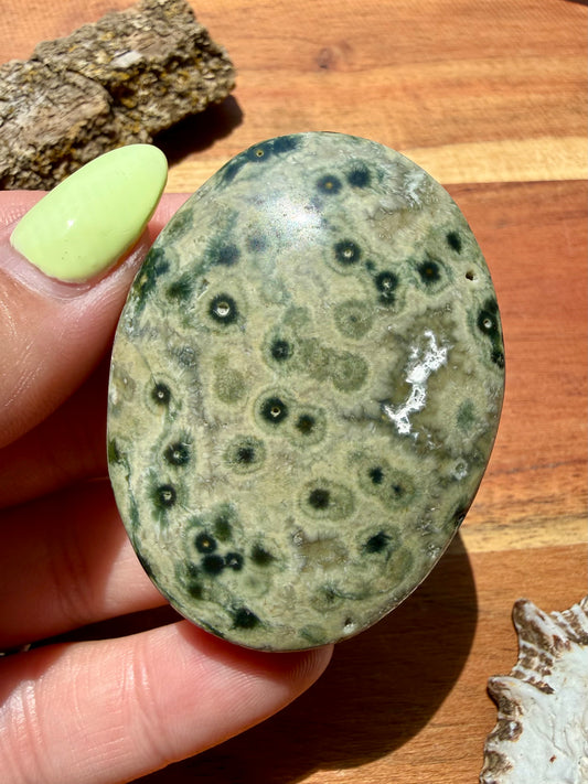 OLD STOCK OCEAN JASPER PALM STONE