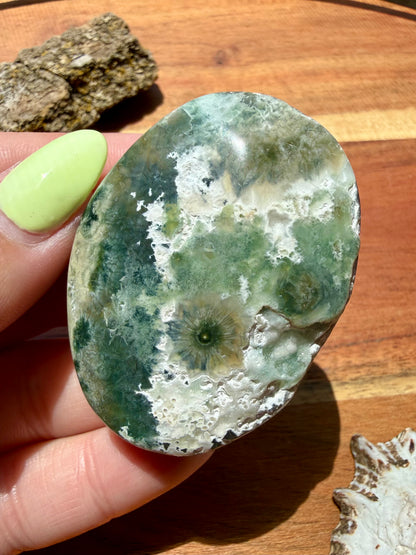 OLD STOCK OCEAN JASPER PALM STONE