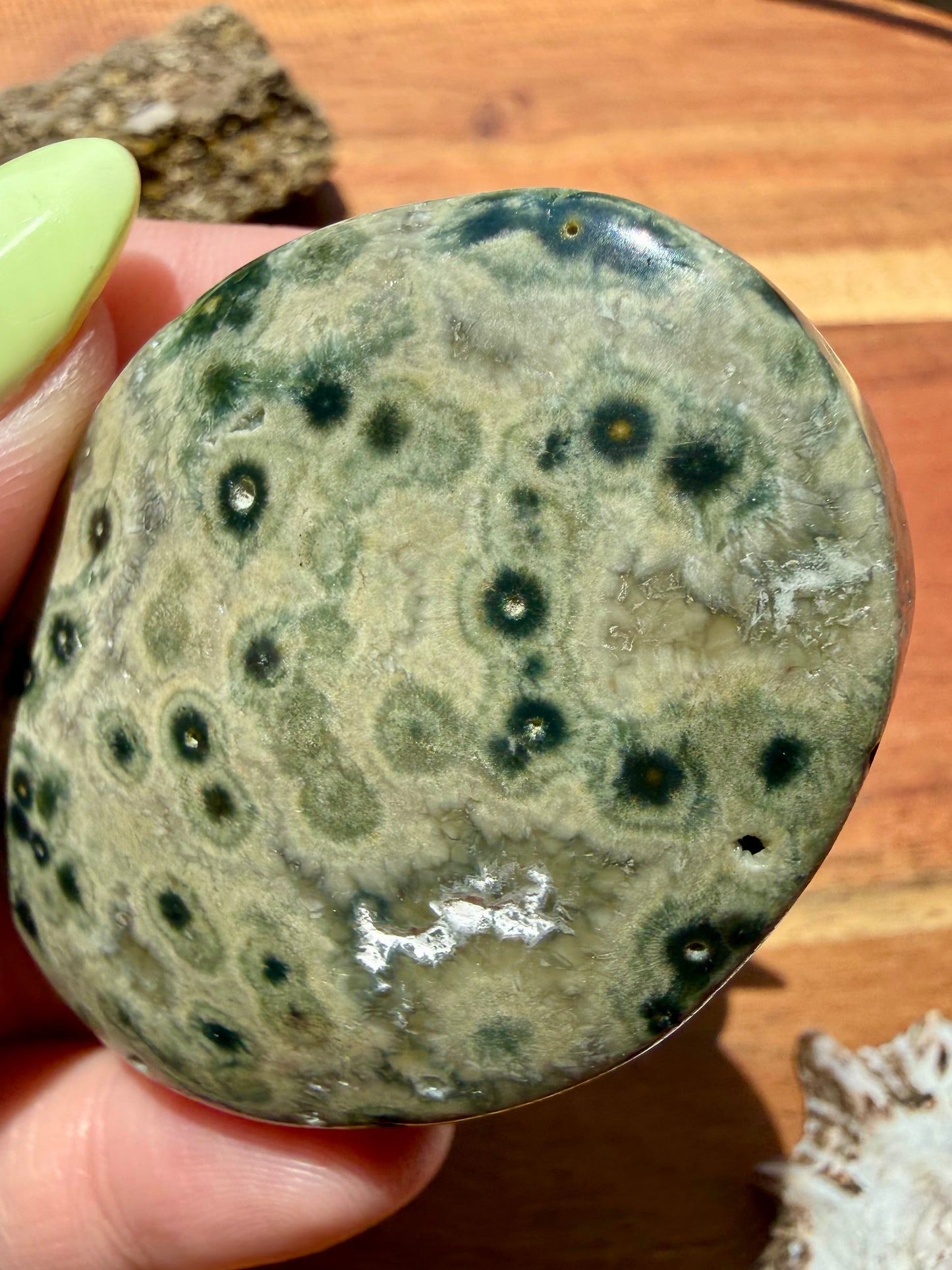 OLD STOCK OCEAN JASPER PALM STONE