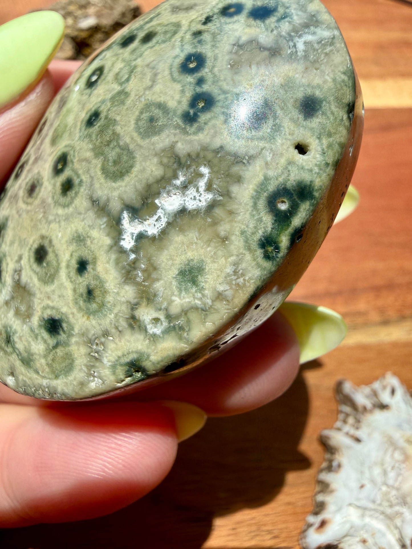 OLD STOCK OCEAN JASPER PALM STONE