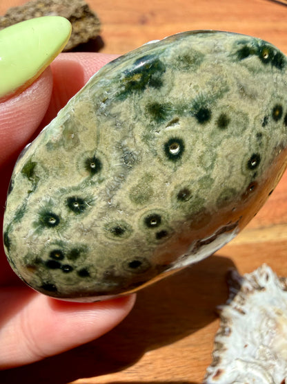 OLD STOCK OCEAN JASPER PALM STONE