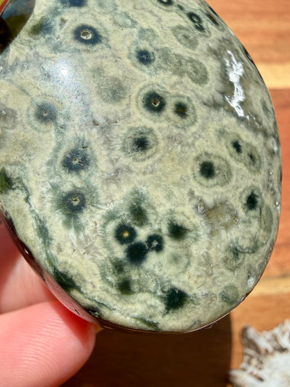 OLD STOCK OCEAN JASPER PALM STONE