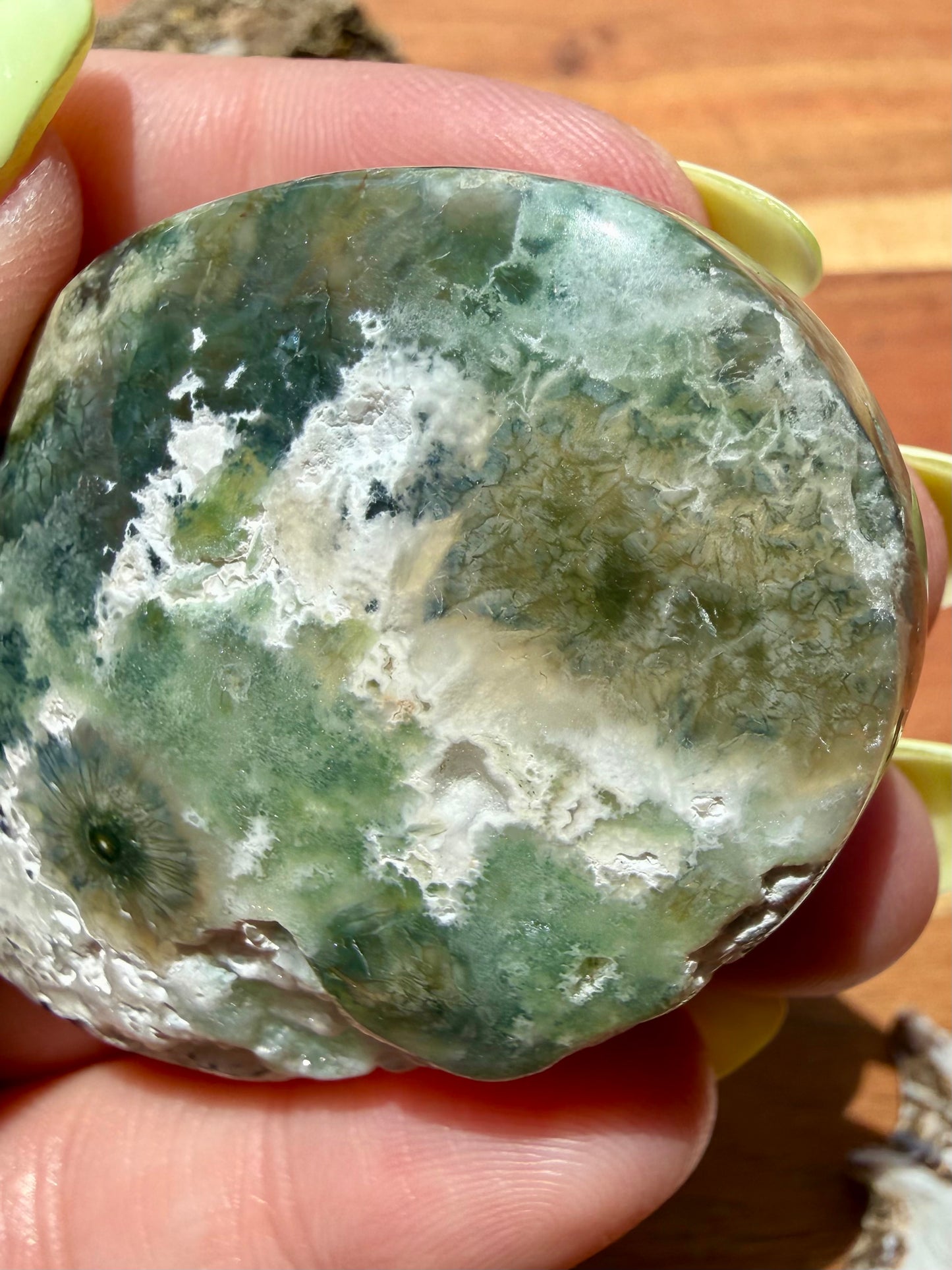 OLD STOCK OCEAN JASPER PALM STONE