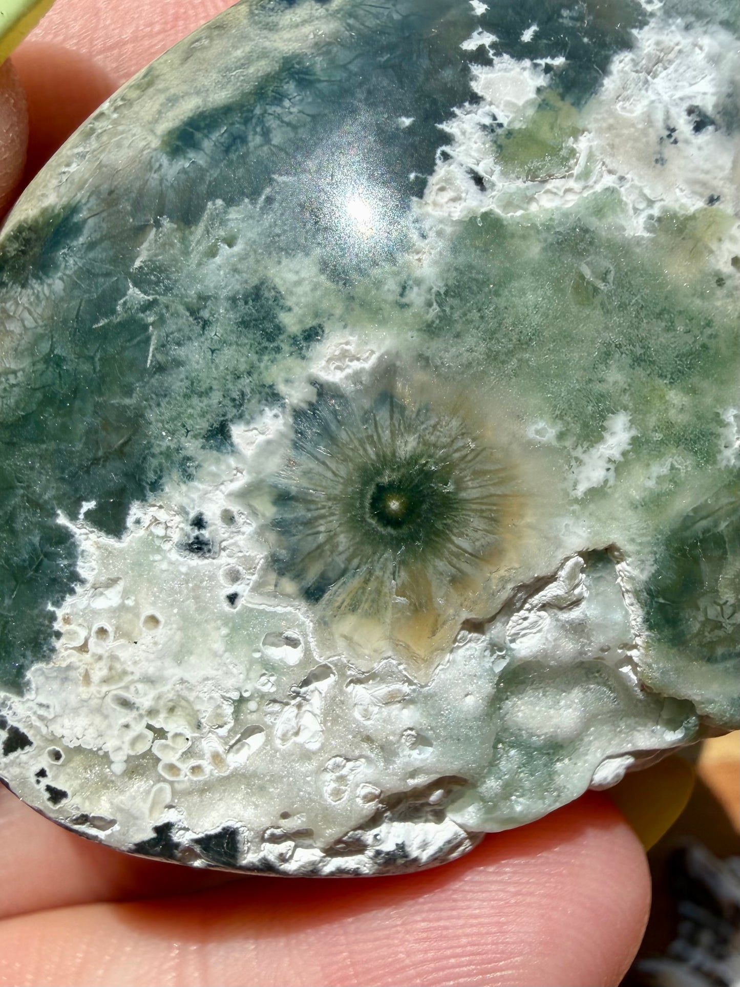 OLD STOCK OCEAN JASPER PALM STONE