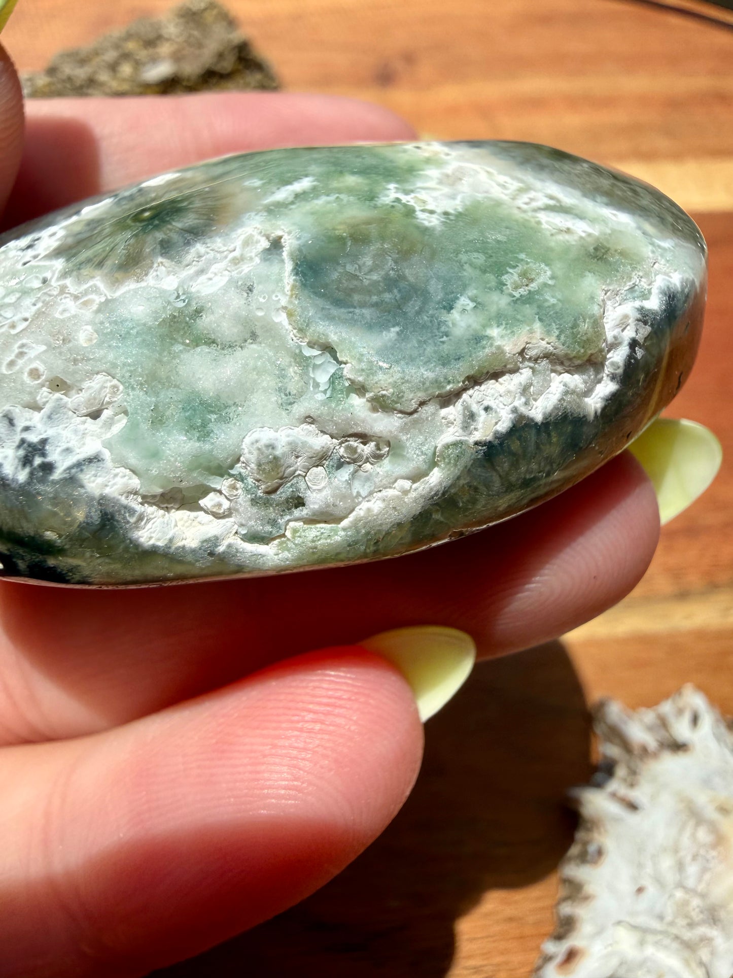 OLD STOCK OCEAN JASPER PALM STONE