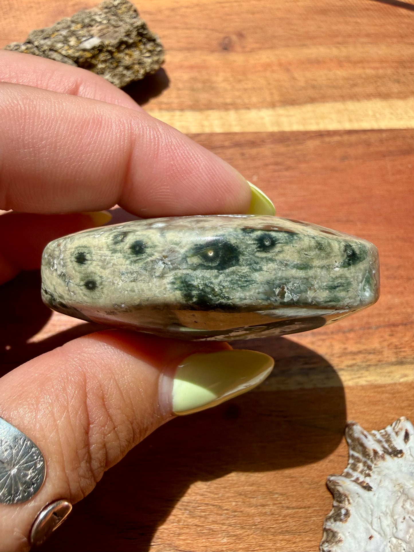 OLD STOCK OCEAN JASPER PALM STONE