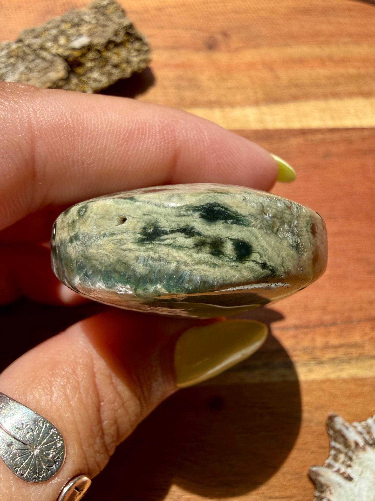 OLD STOCK OCEAN JASPER PALM STONE