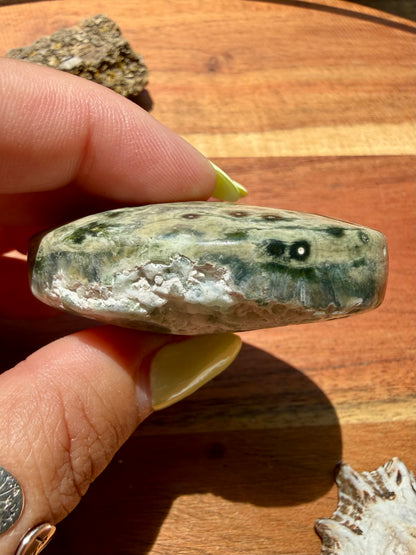 OLD STOCK OCEAN JASPER PALM STONE