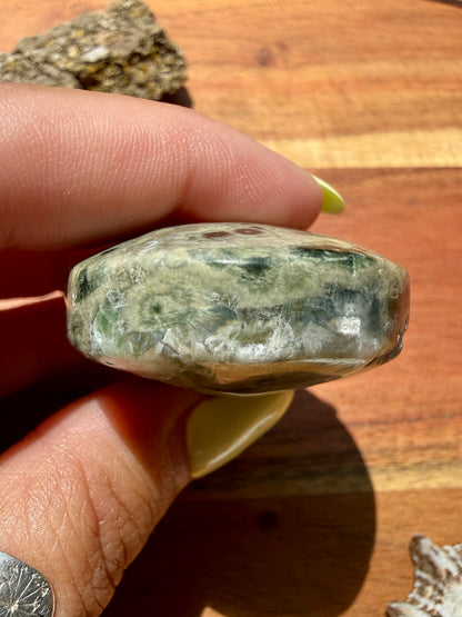 OLD STOCK OCEAN JASPER PALM STONE