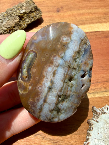 OLD STOCK OCEAN JASPER PALM STONE