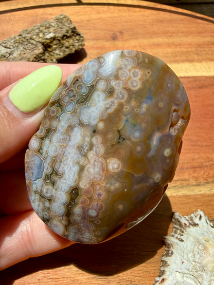 OLD STOCK OCEAN JASPER PALM STONE
