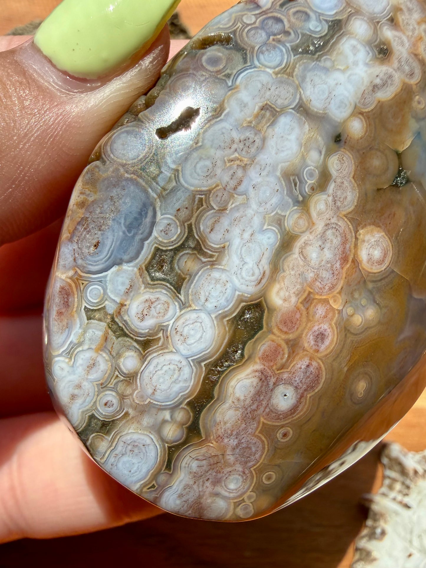 OLD STOCK OCEAN JASPER PALM STONE