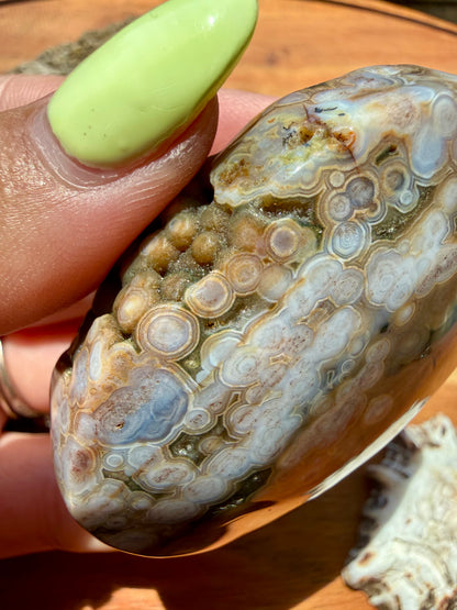 OLD STOCK OCEAN JASPER PALM STONE