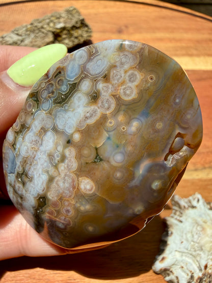 OLD STOCK OCEAN JASPER PALM STONE