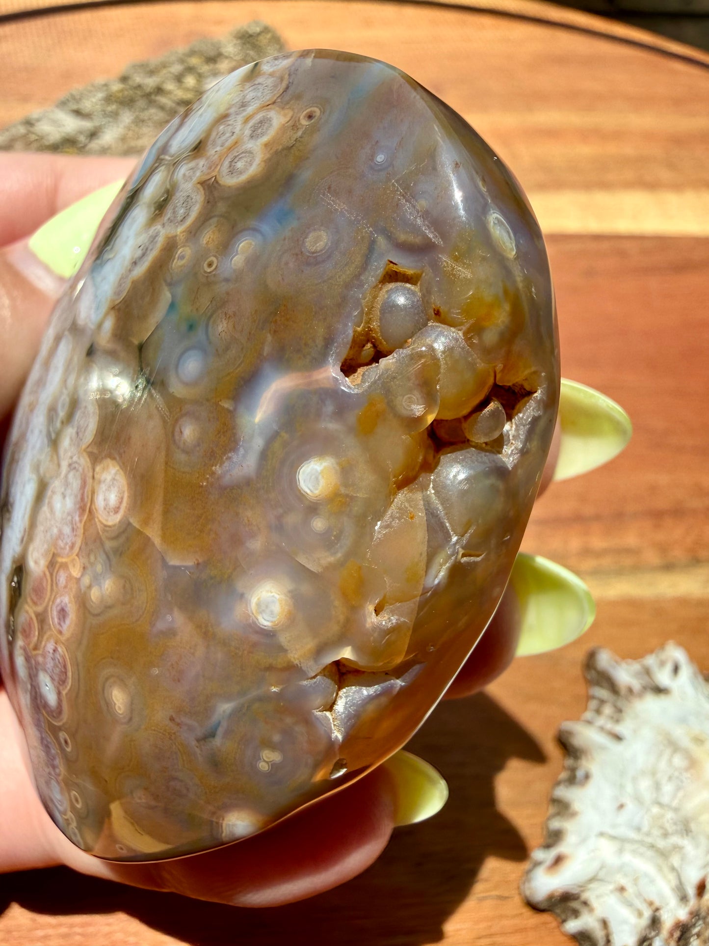 OLD STOCK OCEAN JASPER PALM STONE
