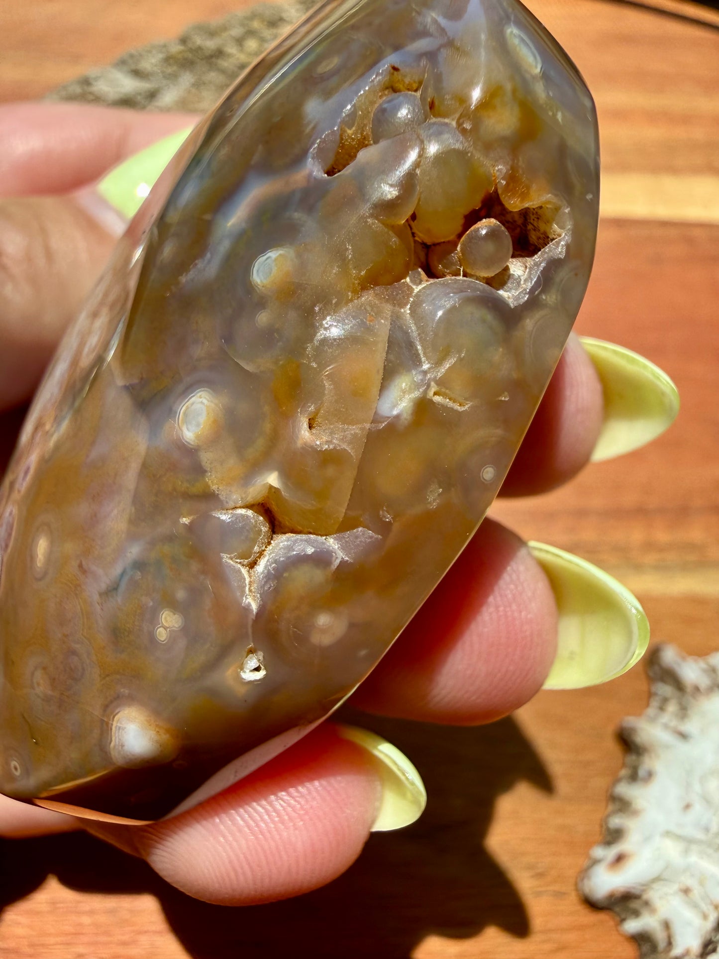 OLD STOCK OCEAN JASPER PALM STONE