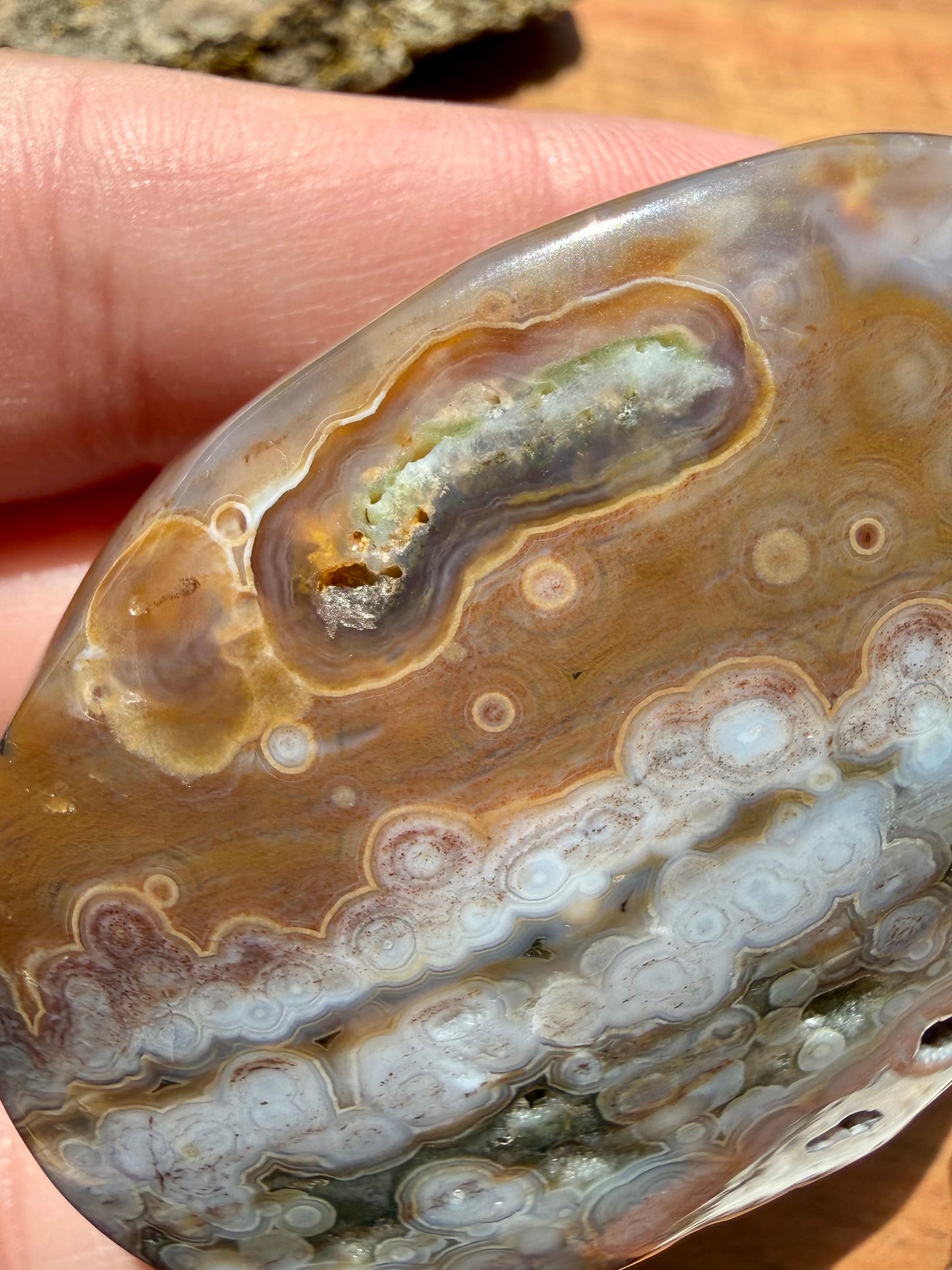 OLD STOCK OCEAN JASPER PALM STONE
