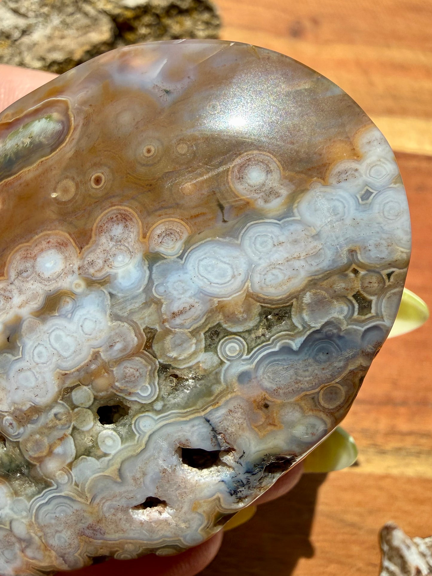 OLD STOCK OCEAN JASPER PALM STONE