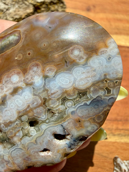 OLD STOCK OCEAN JASPER PALM STONE