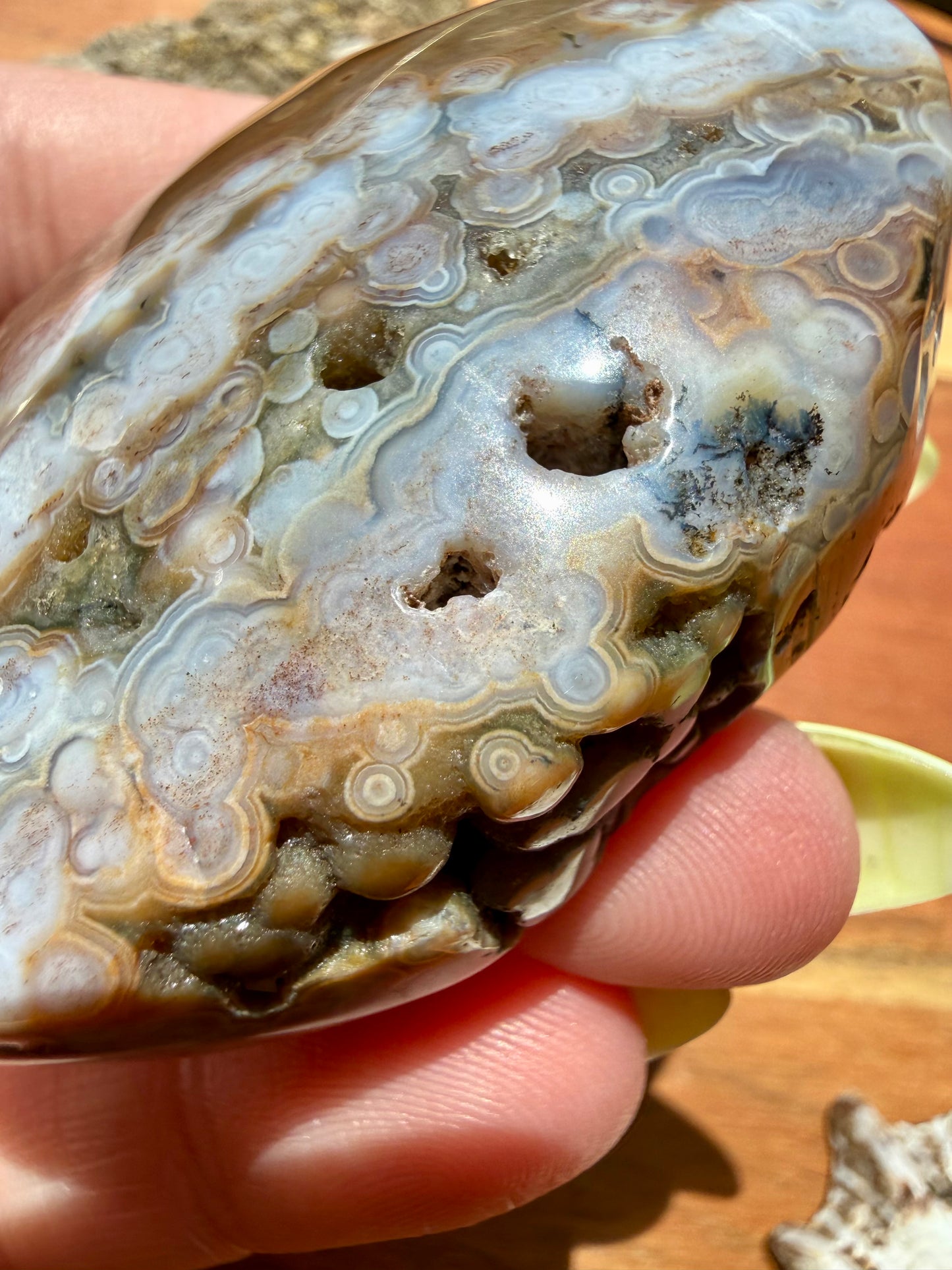 OLD STOCK OCEAN JASPER PALM STONE