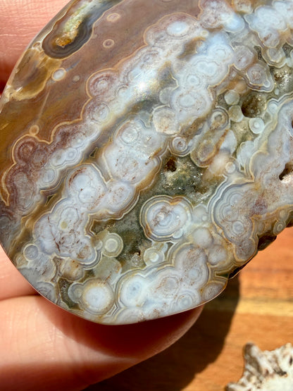 OLD STOCK OCEAN JASPER PALM STONE
