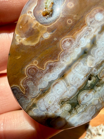 OLD STOCK OCEAN JASPER PALM STONE