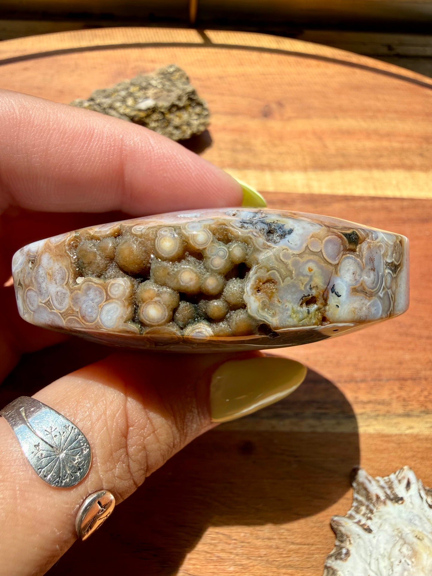 OLD STOCK OCEAN JASPER PALM STONE