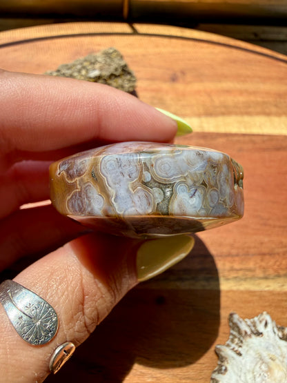 OLD STOCK OCEAN JASPER PALM STONE