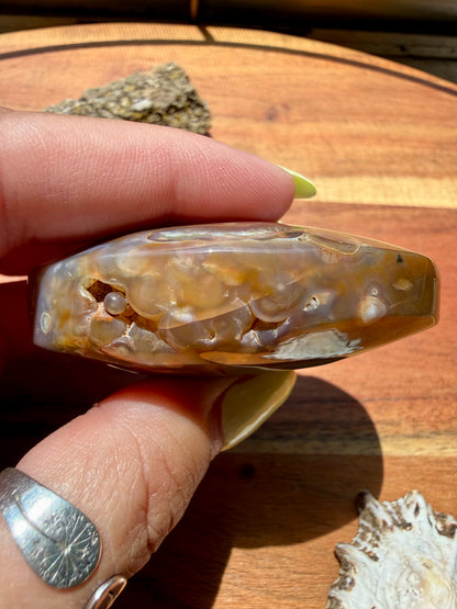 OLD STOCK OCEAN JASPER PALM STONE