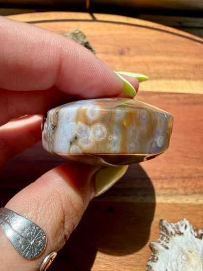 OLD STOCK OCEAN JASPER PALM STONE