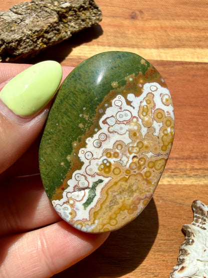 OLD STOCK OCEAN JASPER PALM STONE