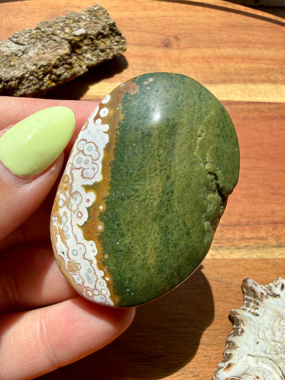 OLD STOCK OCEAN JASPER PALM STONE