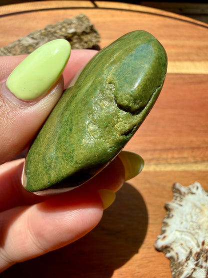 OLD STOCK OCEAN JASPER PALM STONE