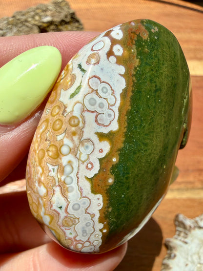 OLD STOCK OCEAN JASPER PALM STONE