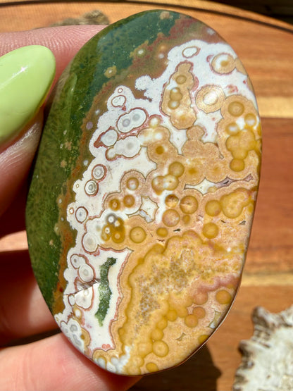 OLD STOCK OCEAN JASPER PALM STONE