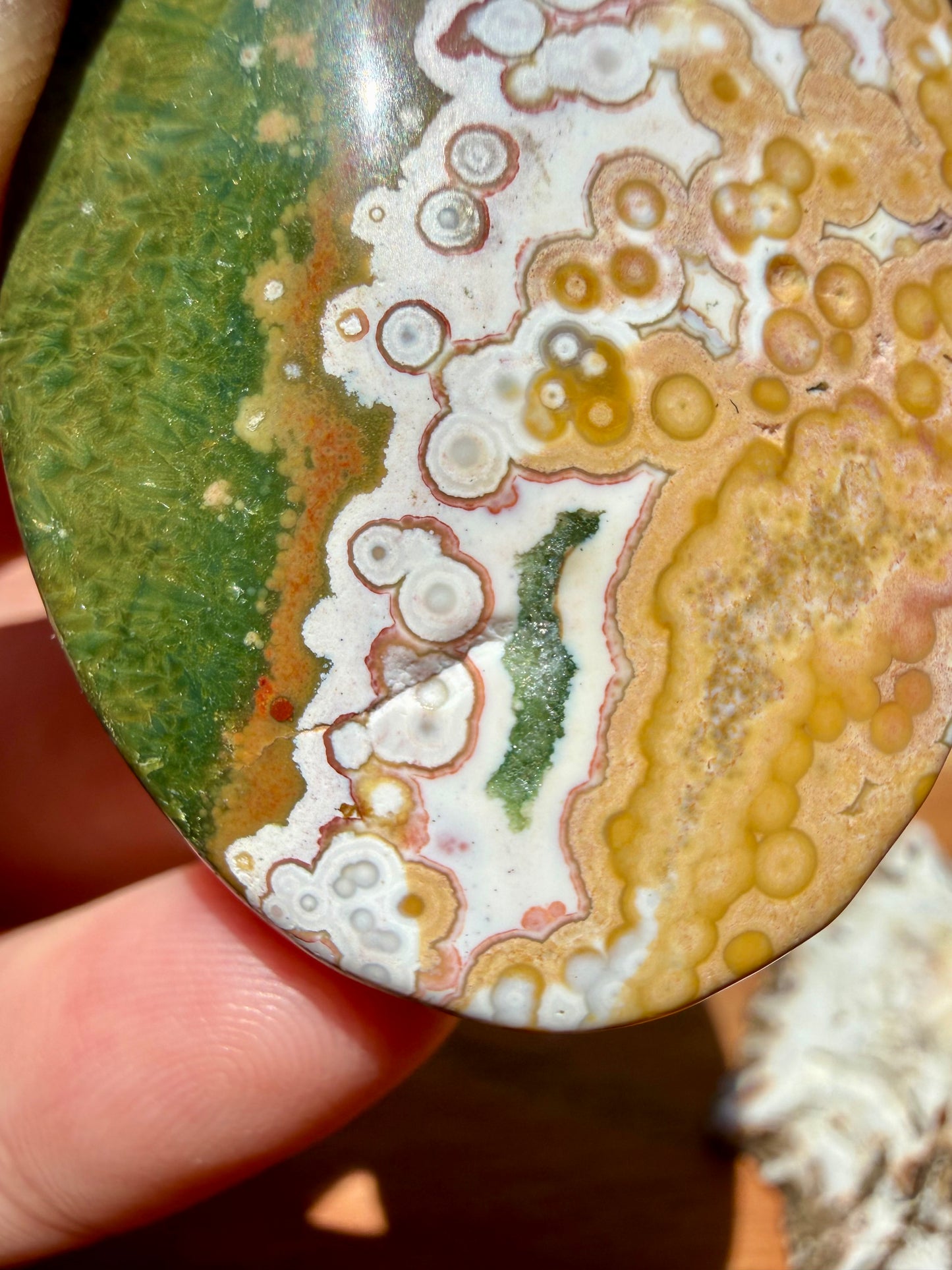 OLD STOCK OCEAN JASPER PALM STONE