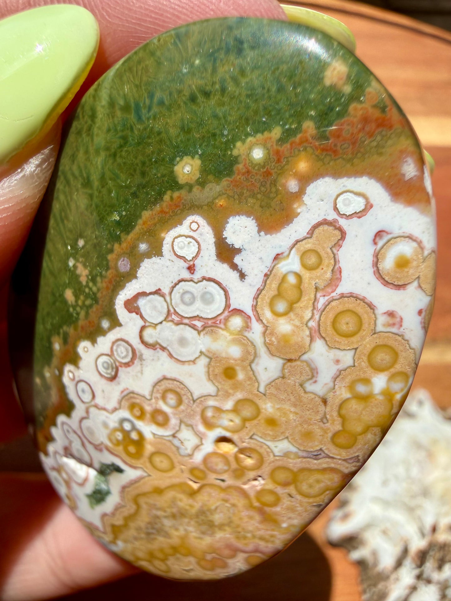 OLD STOCK OCEAN JASPER PALM STONE