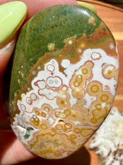 OLD STOCK OCEAN JASPER PALM STONE