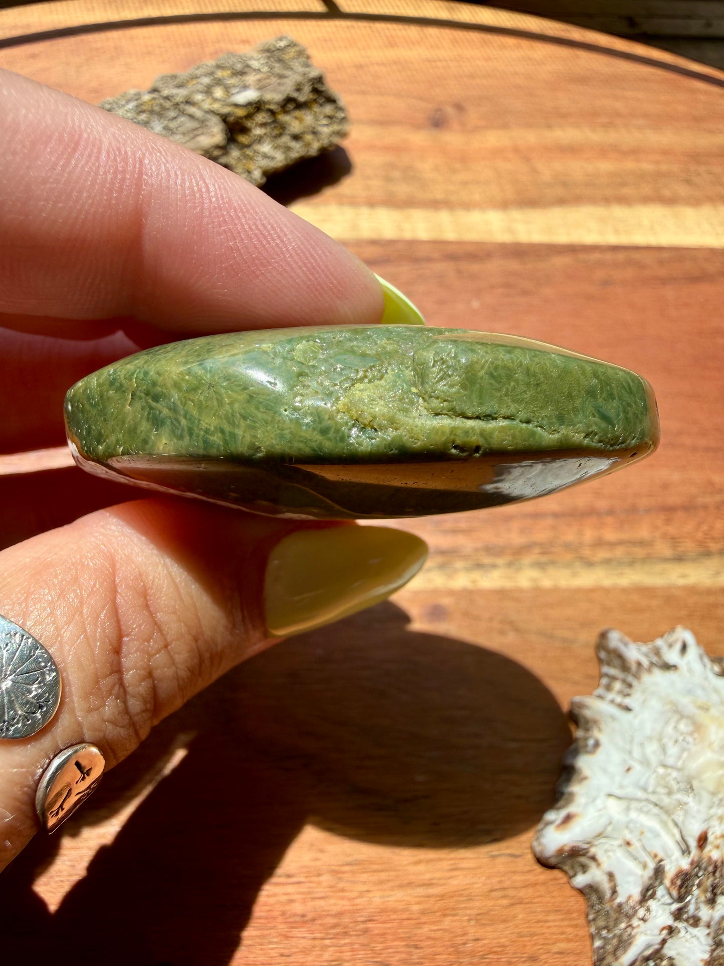 OLD STOCK OCEAN JASPER PALM STONE