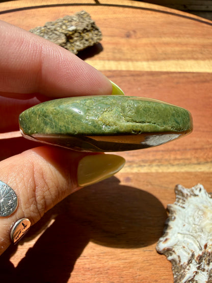 OLD STOCK OCEAN JASPER PALM STONE