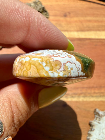 OLD STOCK OCEAN JASPER PALM STONE