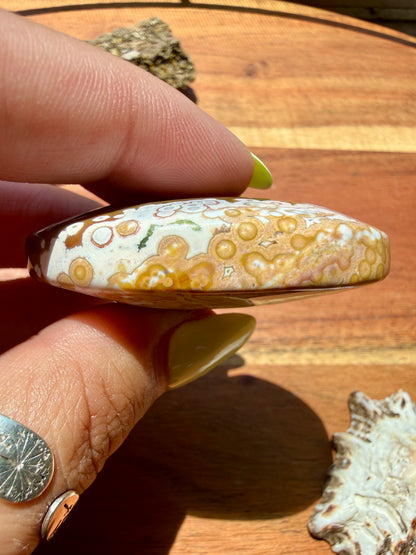 OLD STOCK OCEAN JASPER PALM STONE