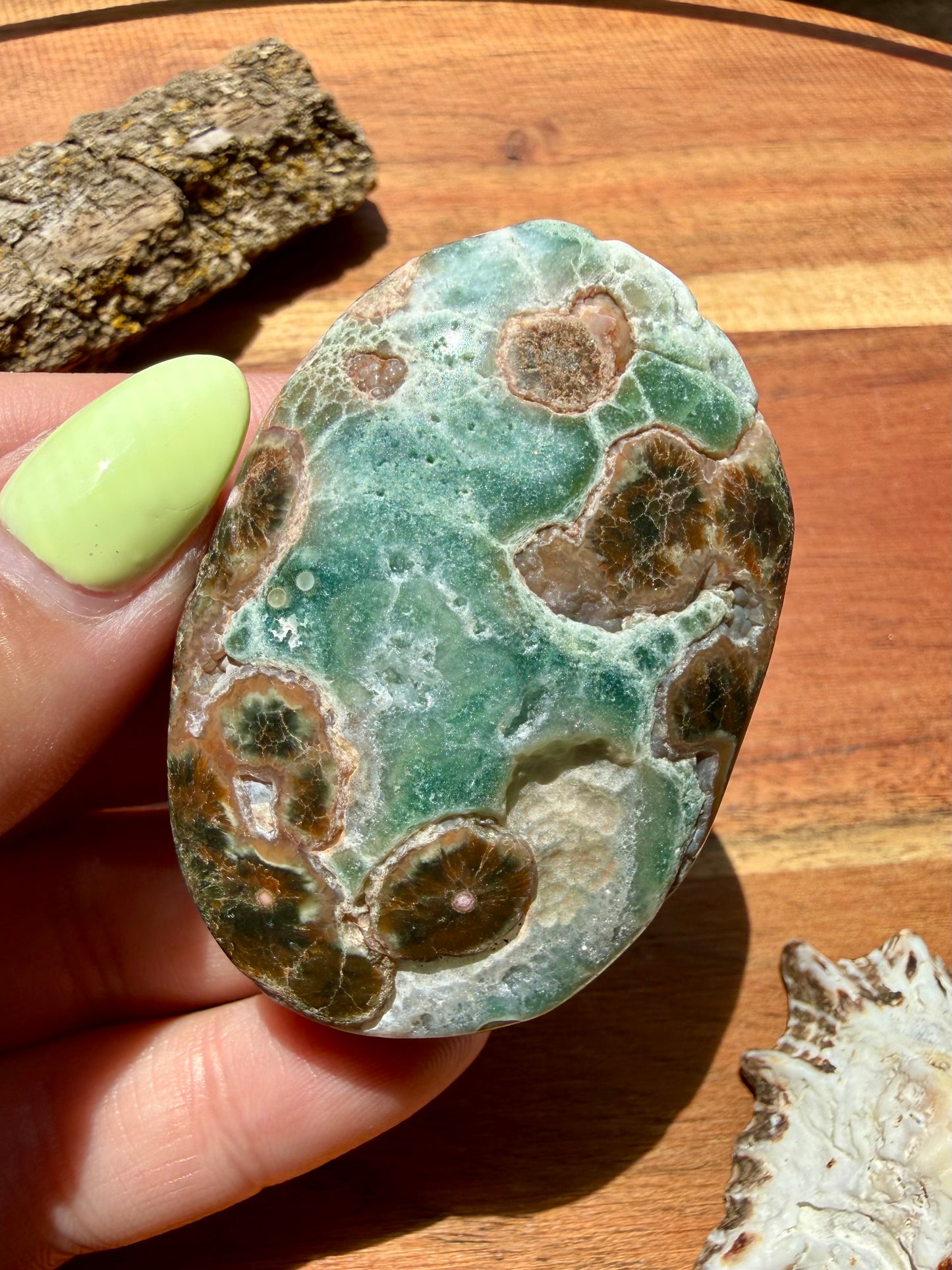 OLD STOCK OCEAN JASPER PALM STONE